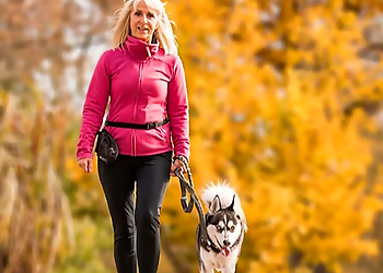 Saint Jean sur Richelieu dog trainer Toutanima Éducation Canine 