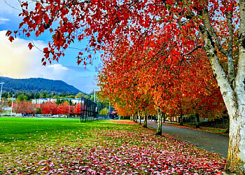 Coquitlam public park Town Centre Park