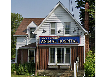 Stouffville veterinary clinic Town and Country Animal Hospital