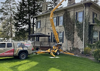 London animal removal Tracks Wildlife Control