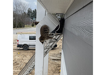 London animal removal Tracks Wildlife Control