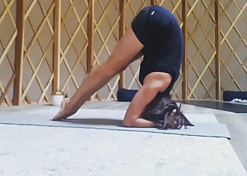 Caledon yoga studio Trailside Yoga