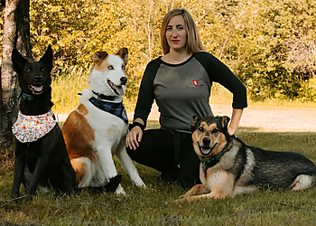 Train Wright Train Wright - Sault Ste Marie, ON Dog Trainers - Dog Trainer Image