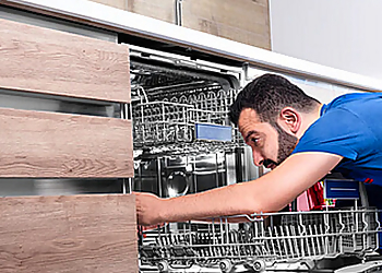 Trans Global Service - Delta, BC Appliance Repair Services - Technician Portrait Image