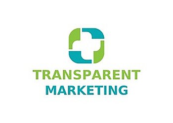 Port Coquitlam web designer Transparent Marketing image 1