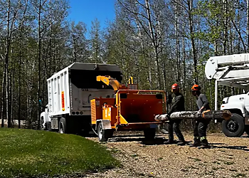 Tree Amigos Ltd - Red Deer, AB Services d'arboriculteur - On-Site Service Image