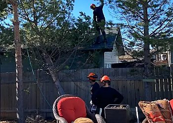 Tree Amigos Ltd - Red Deer, AB Services d'arboriculteur - Field Work Image