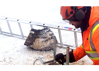 Chilliwack tree service TreeArb Industries