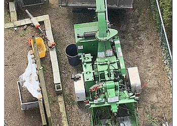 Delta tree service Tree Boss Tree Service