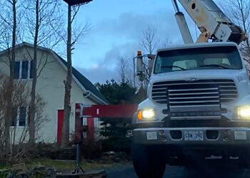 St Johns Services d'arboriculteur Tree Harvester