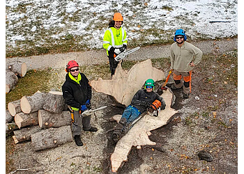 Winnipeg Services d'arboriculteur Tree Ninjas