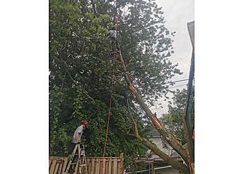 Welland Services d'arboriculteur Treemore