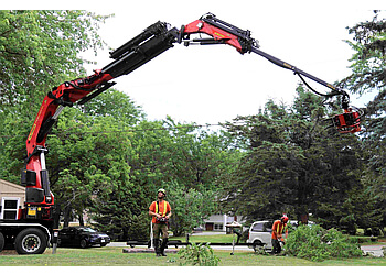 Peterborough tree service Treescape Certified Arborists