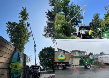 Chilliwack tree service Trees for Life