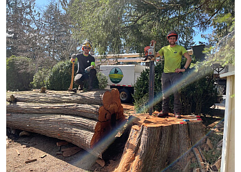 Chilliwack tree service Trees for Life