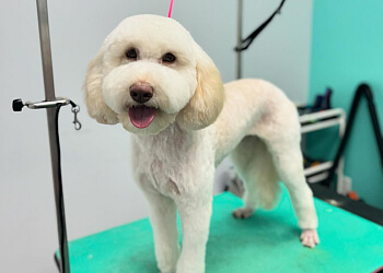 Vaughan pet grooming Trims By Twins & Co