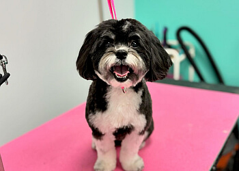 Vaughan pet grooming Trims By Twins & Co