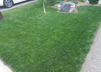 London lawn care service TruGreen London