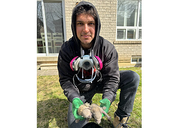 Mississauga animal removal TruTech Pest & Wildlife Control Inc.