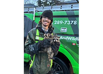 Mississauga animal removal TruTech Pest & Wildlife Control Inc.