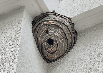 Halton Hills Services d'extermination de parasites Truly Nolen Pest Control