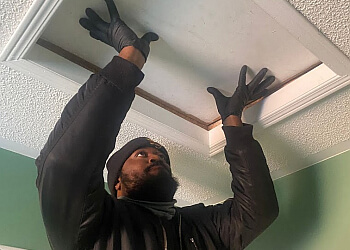 Norfolk Services d'extermination de parasites Truly Nolen Pest Control Norfolk