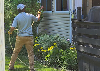 Waterloo pest control Truly Nolen of Kitchener-Waterloo