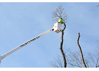 Sherwood Park tree service Trusty Tree Services