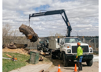 Sherwood Park tree service Trusty Tree Services