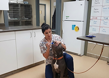 Tudor Glen Veterinary Hospital - St Albert, AB Veterinary Clinics - Healthcare Facility Image