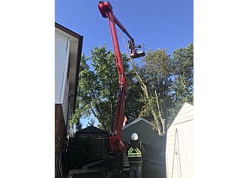 Turgeon Tree Removal