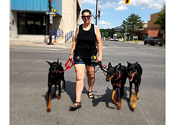 Peterborough dog trainer Turner & Pooch Dog Training