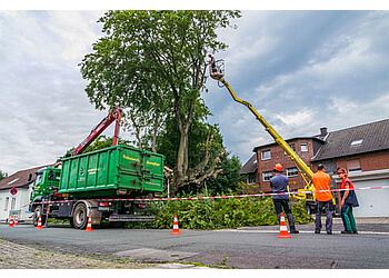 Richmond Hill tree service Twelve Oaks Tree Service Inc.