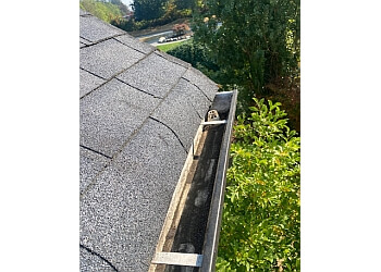 Surrey gutter cleaner Twice as Nice Home Services
