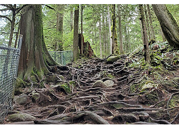 North Vancouver landmark Twin Falls Bridge