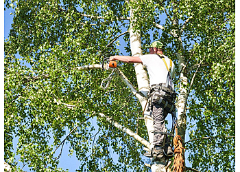 Kamloops tree service Twin Rivers Tree Service & Landscaping