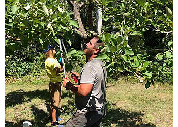 Kamloops tree service Twin Rivers Tree Service & Landscaping