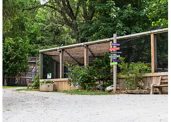 Brantford places to see Twin Valley Zoo