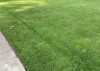 Two Men Mowing - Aurora, ON Lawn Care Services - Project Image