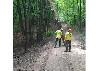 Orillia tree service Tyler's Tree Services