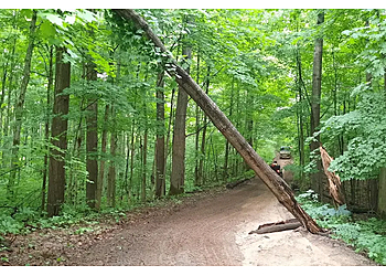 Orillia tree service Tyler's Tree Services