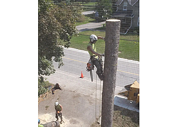 Orillia Services d'arboriculteur Tyler's Tree Services 
