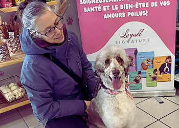 Levis pet grooming Un Zoo À La Maison