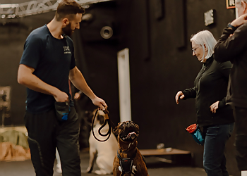 Langley dog trainer Unite Canine Training