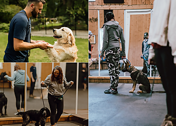 Langley dog trainer Unite Canine Training
