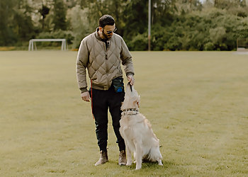 Langley dog trainer Unite Canine Training