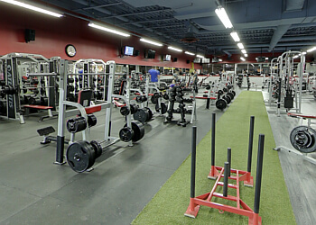 3 Best Gyms in Quebec, QC - Expert Recommendations