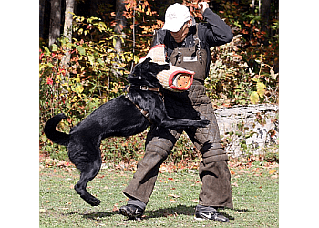 Orillia dog trainer Unleashed K9 Performance