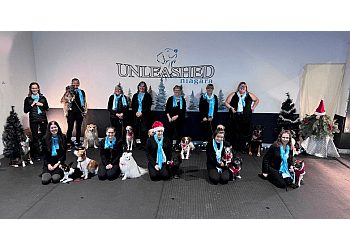 St Catharines dog trainer Unleashed Niagara