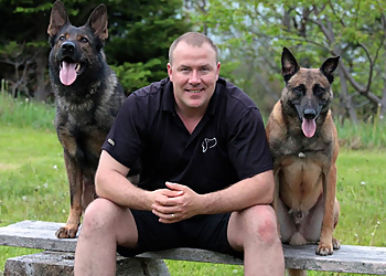 Unleashed Potential K9 - Stratford, ON Dog Trainers - Dog Trainer Image